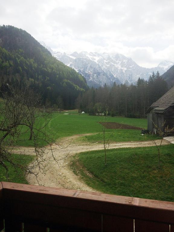 Farm Stay Juvanija Solčava Kültér fotó