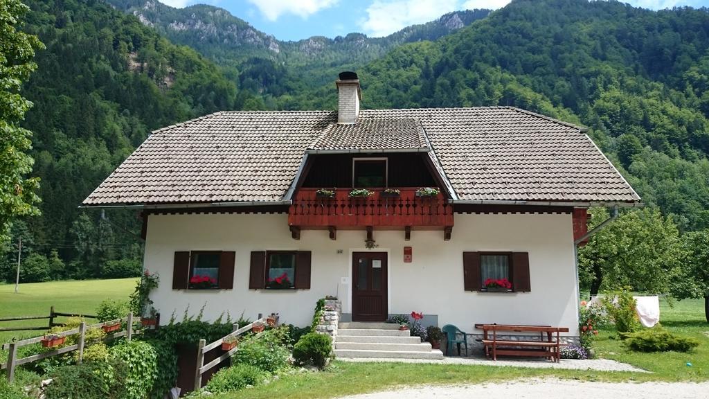 Farm Stay Juvanija Solčava Kültér fotó