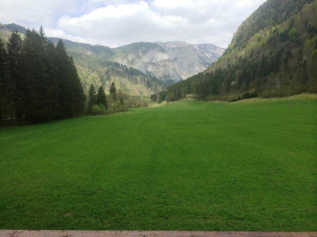 Farm Stay Juvanija Solčava Kültér fotó