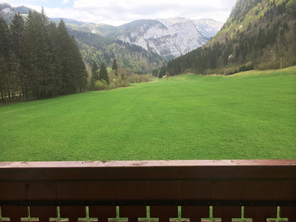 Farm Stay Juvanija Solčava Kültér fotó