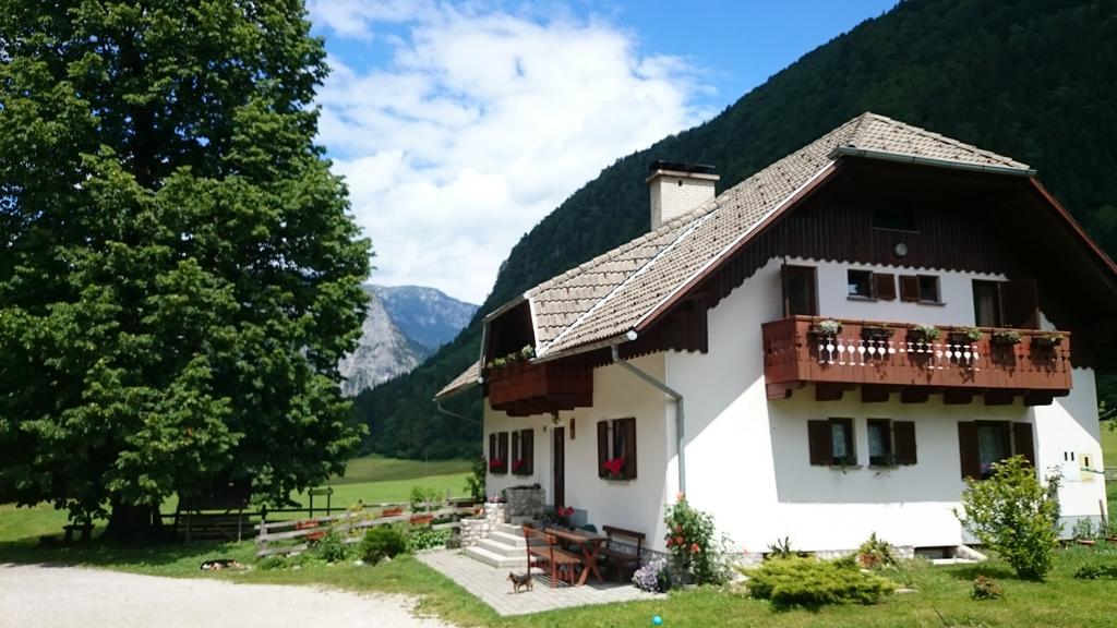 Farm Stay Juvanija Solčava Kültér fotó