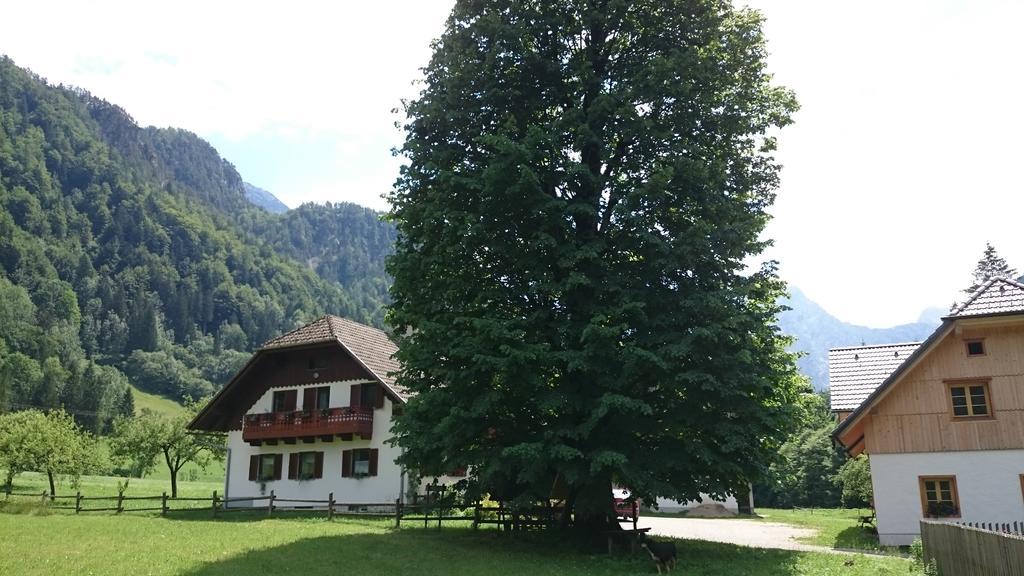 Farm Stay Juvanija Solčava Kültér fotó